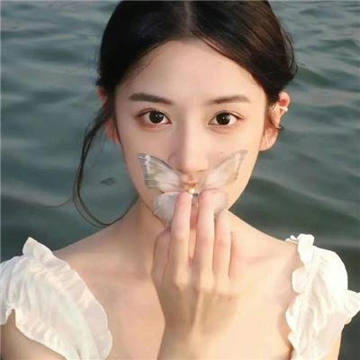 战地黄花分外香